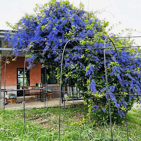 Moshang Caoxun Changbin Exterior photo