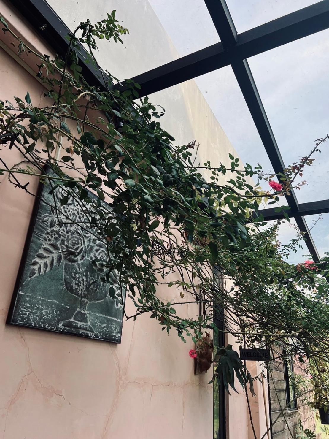 Moshang Caoxun Changbin Exterior photo